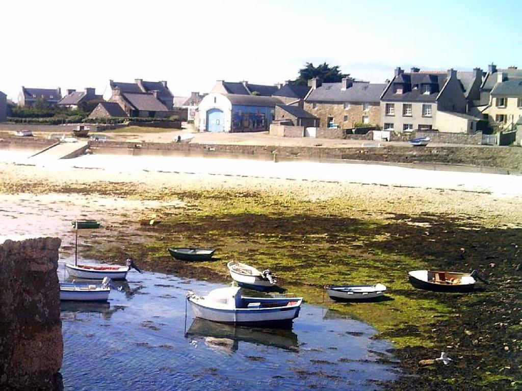 129 ILE DE MOLENE_000039.jpg